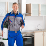 Arizona Pest Control Services