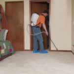 How to Choose the Best Pest Control Company