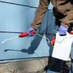 Termite Control Goodyear | What to Know