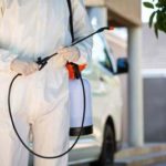 Pest Control Portland | Finding Reliable