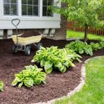 Bark Installation Camas | Benefits